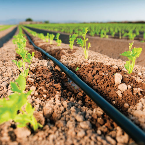 Morocco’s irrigation companies CMGP § CAS join forces to expand in Africa