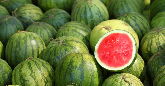 Morocco largest watermelon supplier to EU