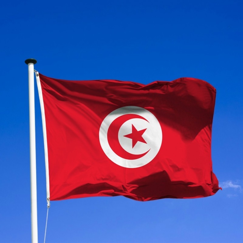 Tunisia: President announces new electoral Code, continuation of exceptional measures decreed on July 25