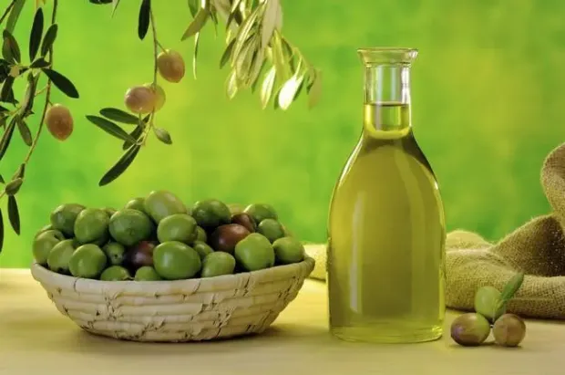 Morocco: Olive Output Expected to Soar by 21 % this Season