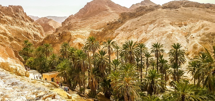 Mountain oasis Chebika in Sahara desert. Tunisia