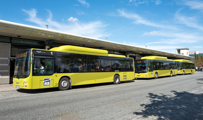 Egypt to launch construction of first bus powered by natural gas in 2022