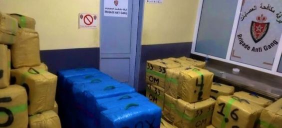 Morocco: Police seize 3 tons of cannabis, capture dealer
