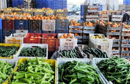 Russia bans vegetable imports from Egypt over contamination fears