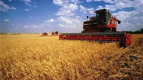 Morocco’s soft wheat subsidies to soar to 3.84 billion dirhams ($410 million)
