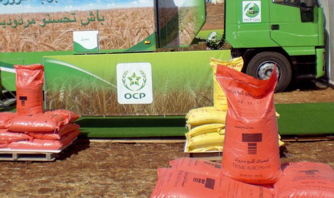 Morocco’s OCP poised to play greater role in global food security