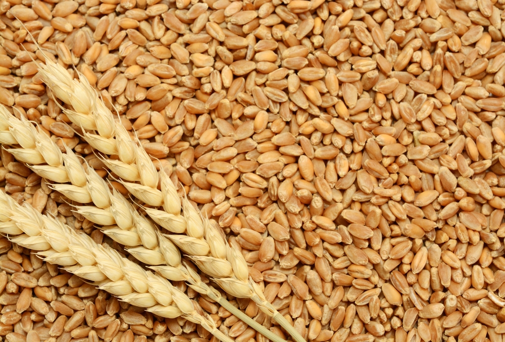 Morocco to increase wheat inventories