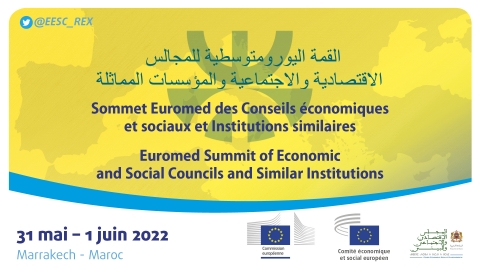 Euromed Summit of Economic and Social Councils discusses post-COVID recovery plans