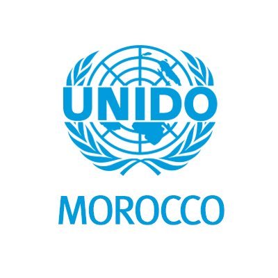 UNIDO supports Morocco’s industrial decabonization transition