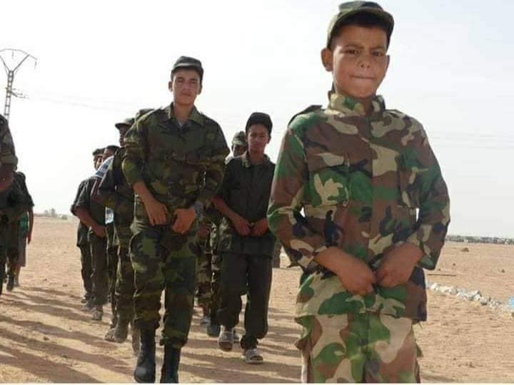 Promotion and Protection of the Rights of the Child in Conflict Zones: Situation of Child Soldiers