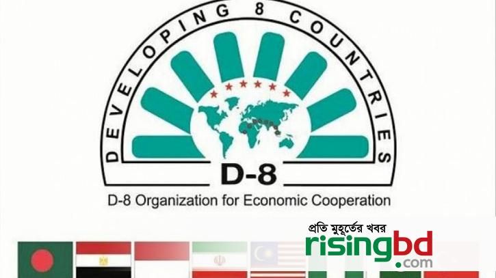 D-8 meeting: Nigeria, Egypt and other developing nations seek to deal with currency, energy and food crises