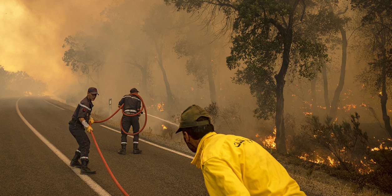 Morocco announces $28 Million plan to alleviate damage caused by recent wildfires