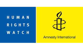 International human rights watchdogs slammed for biased, controversial reports