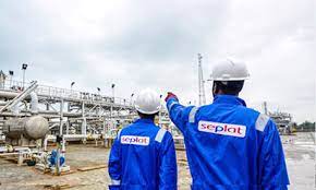 Nigeria greenlights Seplat Energy’s buy of ExxonMobil’s Nigerian unit