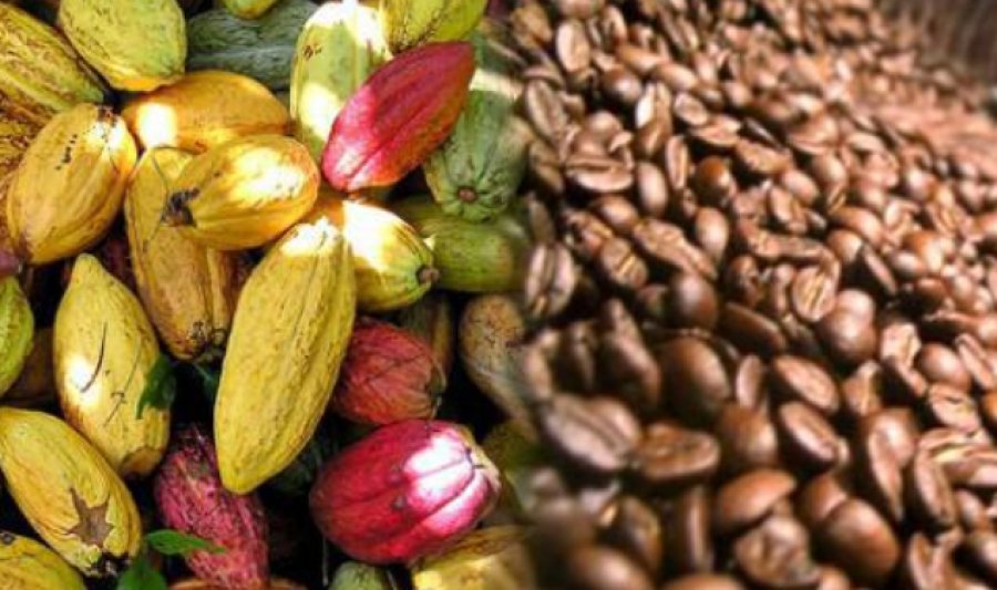 Abidjan-based Banque Nationale d’investissement pledges to back coffee, cocoa exporters with around $274 million for new season