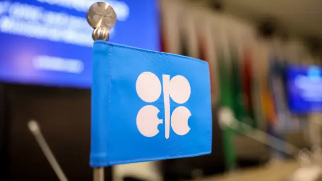 Mixed reaction in Africa to OPEC oil production cuts amid concern about rising prices