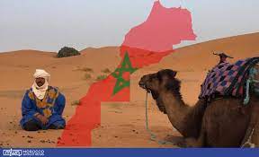 South Africa’s gesticulations & agitations around Moroccan Sahara reflect its inability to act – FM