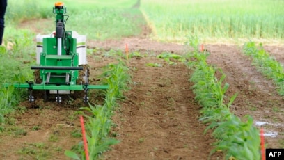 Agricultural automation can boost food production in Africa and globally — UN study