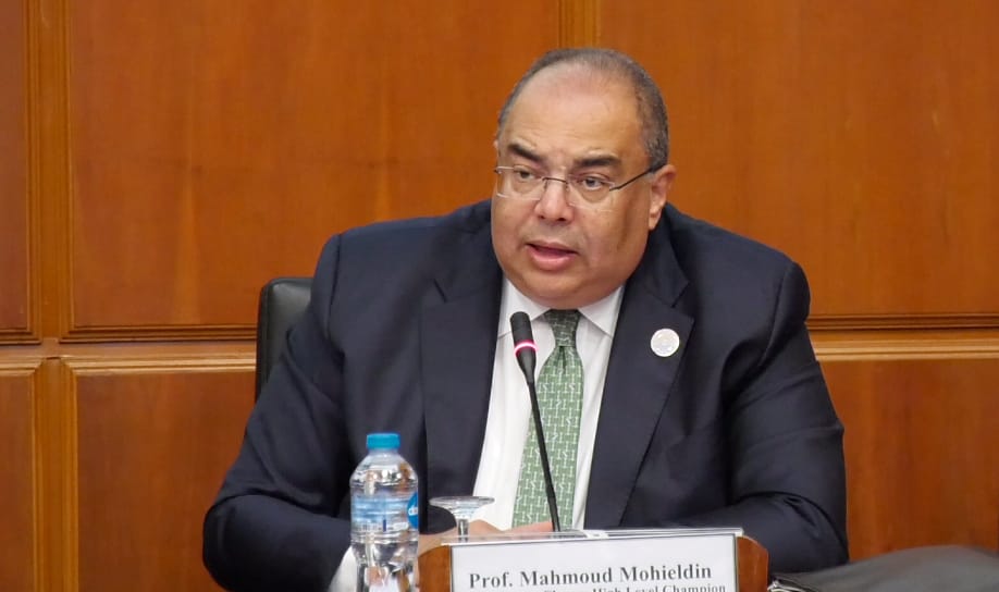 Egypt’s Mahmoud Mohieldine re-elected executive director for Arab States at IMF