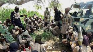 Suspected ISWAP terrorists kill civilians, troops in northeast Nigeria
