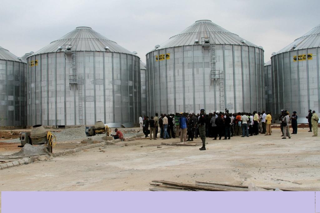 OIC handpicks Nigeria as food storage hub