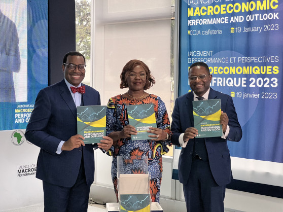 Africa: A 4% growth rate in 2023, outpacing IMF’s global forecast — AfDB report