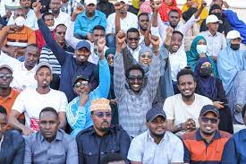 Somalia: President urges citizens to flush out ‘bedbugs’ at rally against al-Shabab