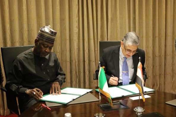 Egypt, Nigeria to enhance cooperation in electricity, renewable energy fields