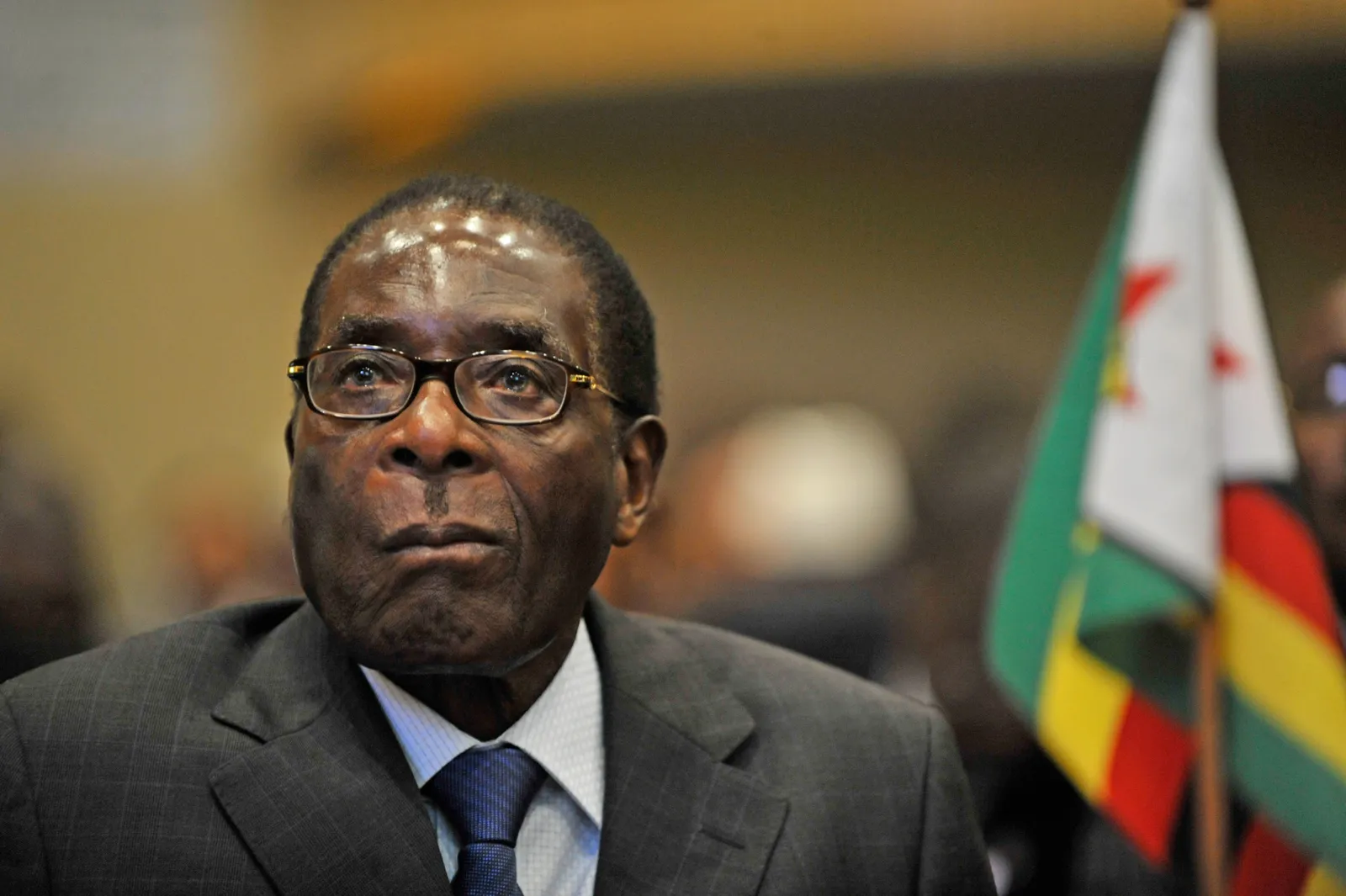 Robert Mugabe’s son apprehended for alleged property damage