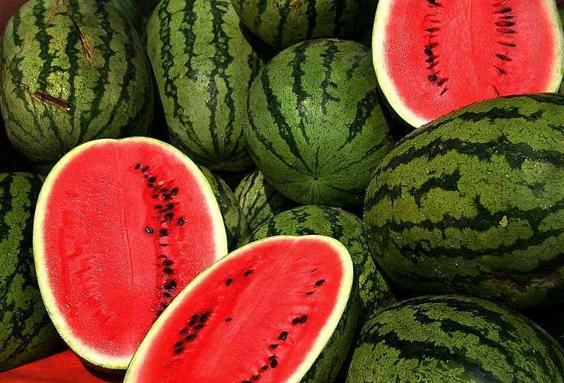 Watermelon: Morocco becomes 2nd supplier of the EU