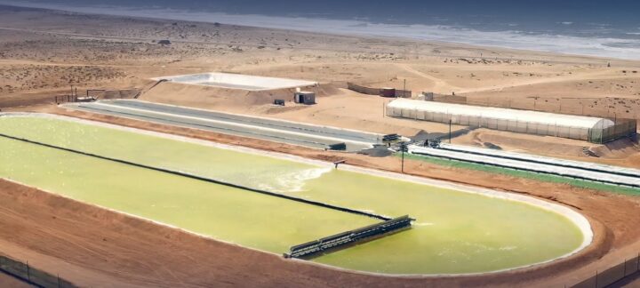 Two UK companies to build mega-algae production plant in Morocco