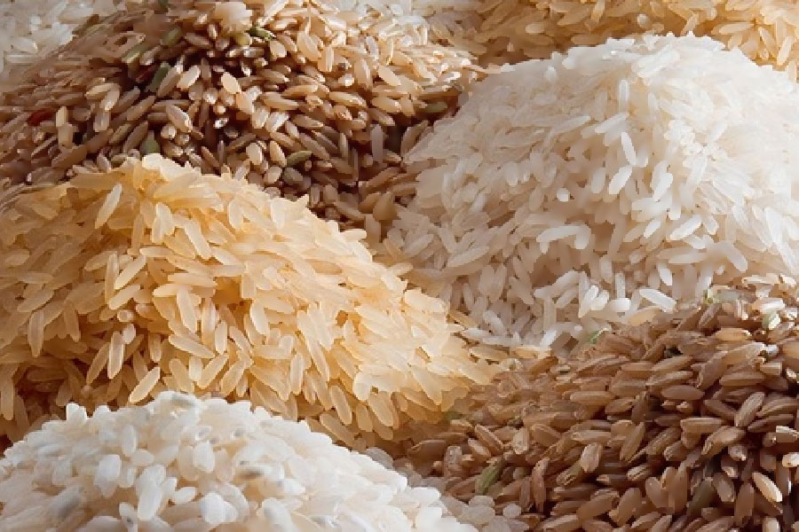 China donates 1,042 tons of rice to Cape Verde