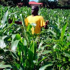 EU’s Green Deal to have dire implications for East African farmers — study