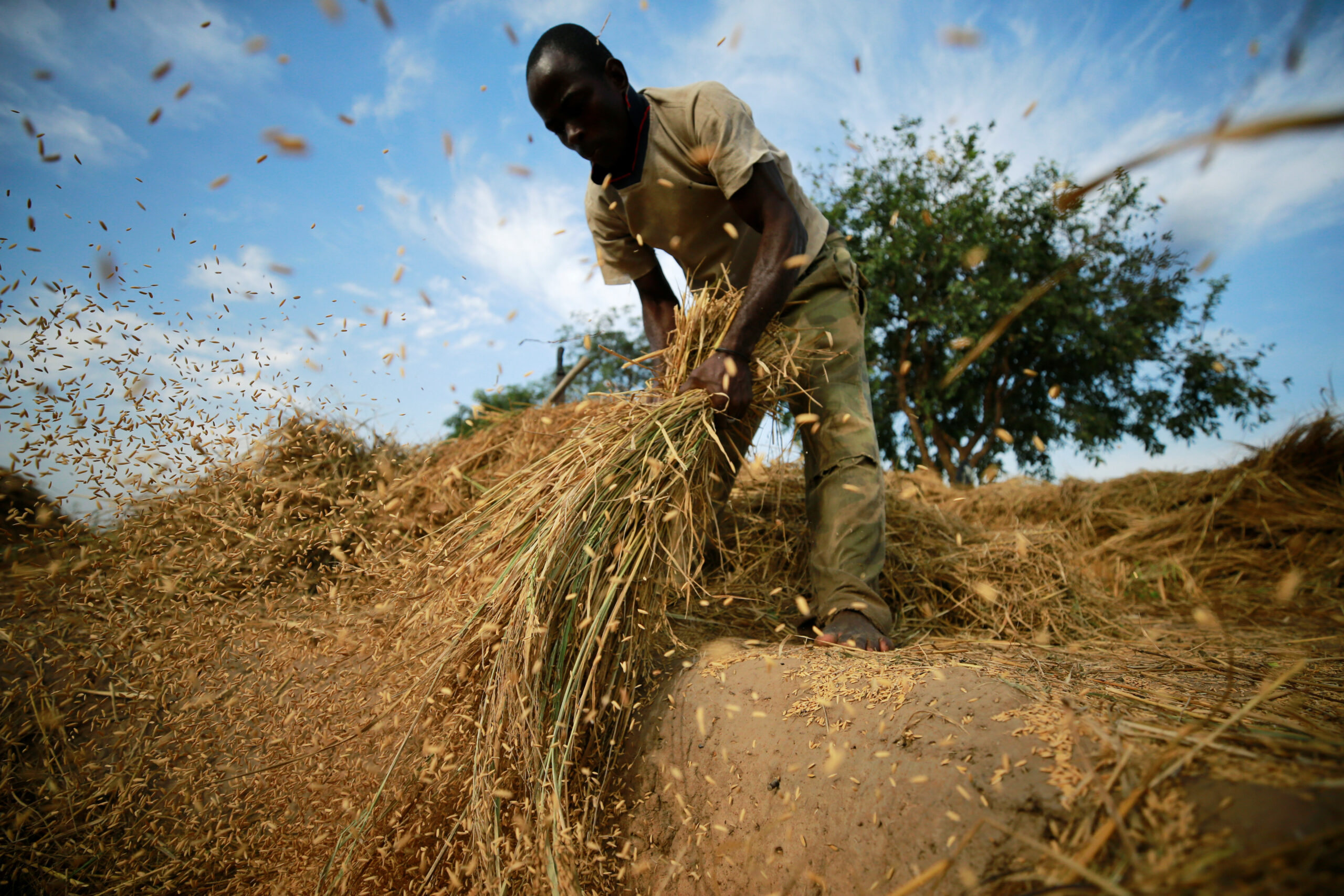 East African households urged to have own grain reserves to eliminate food insecurity