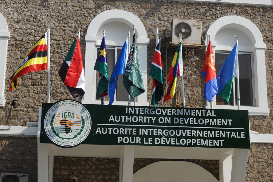 Djibouti to host first IGAD Summit since 2019 from Monday