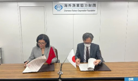 Aquaculture: Japan supports Morocco’s fish farming projects