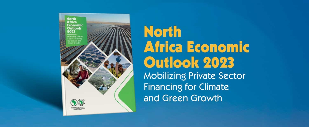 North Africa’s economies to expand by 4.6% in 2023, green growth a priority — AfDB