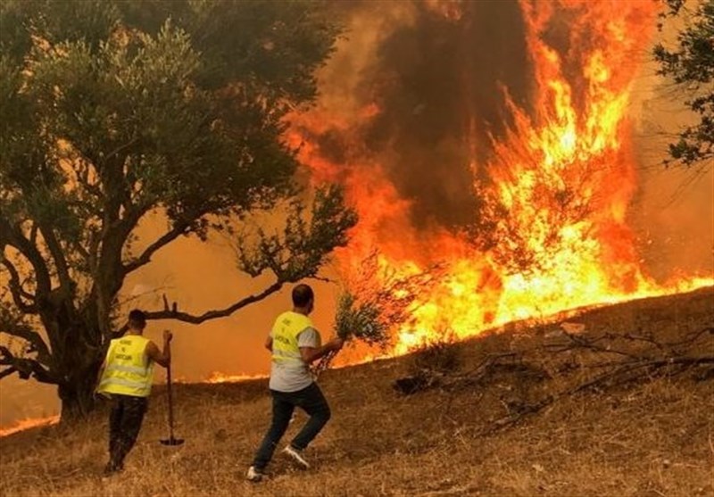 Morocco expresses condolences to Algeria on wildfire deaths