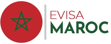 ‘eVisa’: Positive outcome with over 160K applications processed in one year