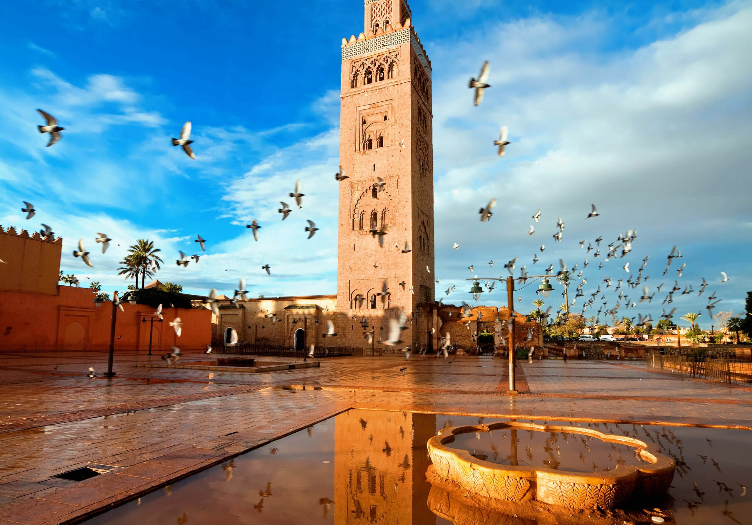 Morocco, Tunisia, Egypt poised for record tourism year