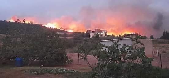 Wildfires kill over 34 in Algeria as regime drags feet on buying waterbombers
