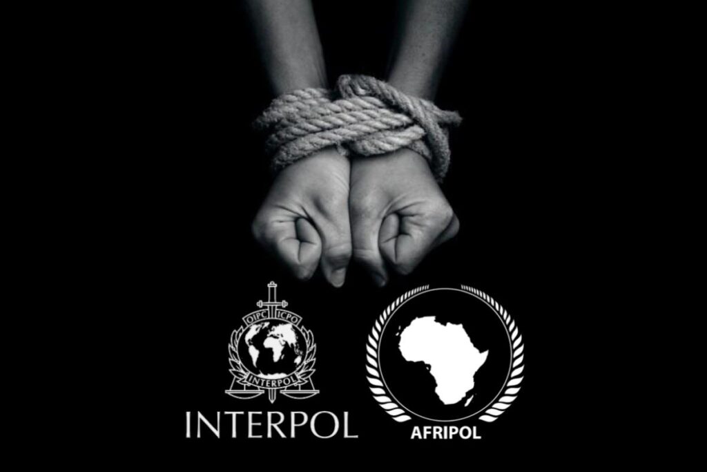 INTERPOL-AFRIPOL operation targets human trafficking, migrant smuggling in Africa