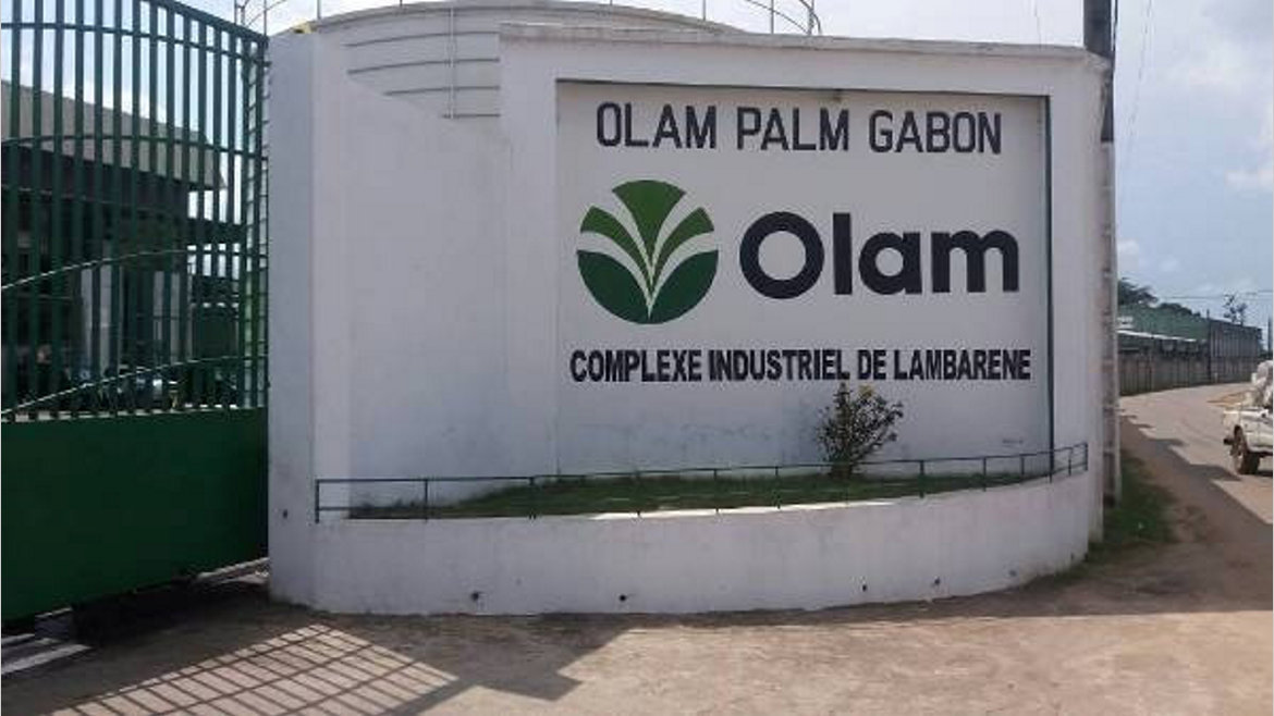 IFC accords $150m loan to Olam to boost palm oil production in Gabon