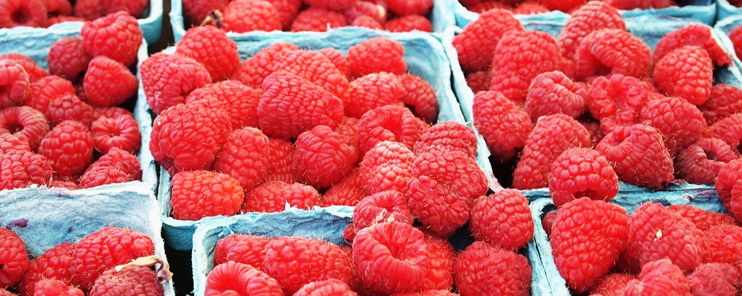 Morocco tops raspberries suppliers to UK