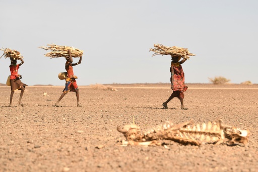 IMF warns climate change to exacerbate conflict, war-torn, fragile African states most at risk