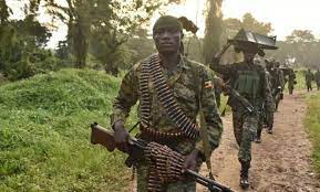 Uganda’s military operations in DRC have killed hundreds of IS-allied militants