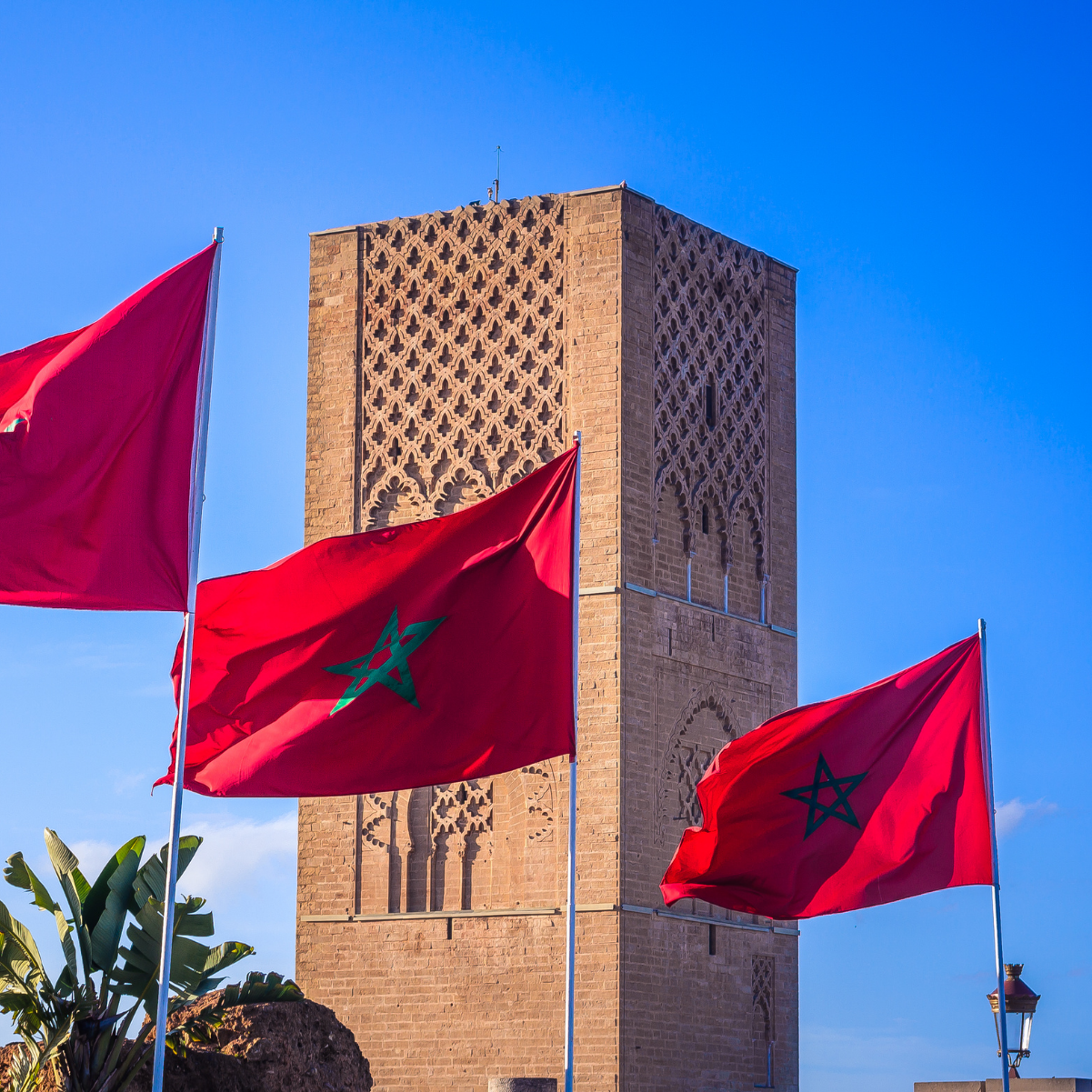 Financial Times zooms on Morocco’s role in regional security