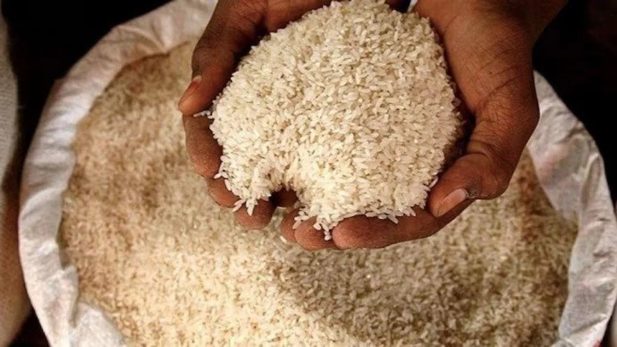 India lifts ban on rice export to seven countries including Côte d’Ivoire, Cameroon, Guinea, Seychelles