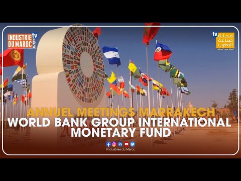 IMF members increase contributions; Africa gets third seat on board