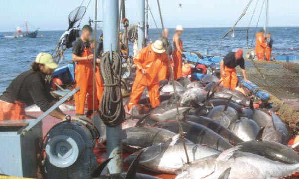 EU poised to renew fisheries agreement with Mauritania